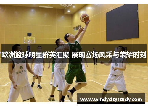 欧洲篮球明星群英汇聚 展现赛场风采与荣耀时刻