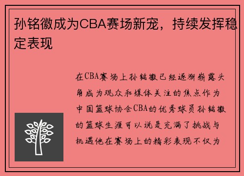 孙铭徽成为CBA赛场新宠，持续发挥稳定表现