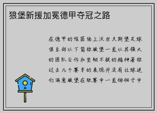 狼堡新援加冕德甲夺冠之路